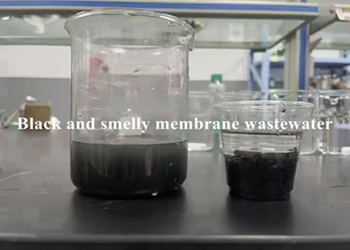 Kāpēc ūdens paraugu nosūtīšana ir svarīga: pielāgoti risinājumi globālajām no...